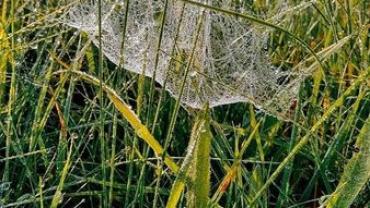 400759147 856453039816607 8980461653054489942 N