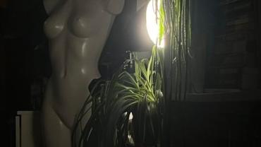 402314174 859065666222011 4672196209764740590 N