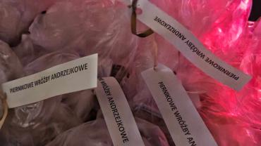 370258956 366392616055909 4193696972030413471 N