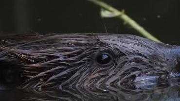 458449373 1082763983852177 956585617593329524 N