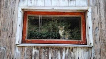 458516095 1082764023852173 8307499770086895626 N