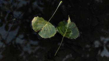 461782103 1104826774979231 1276288845633597847 N