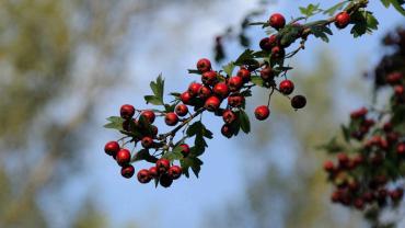 461852758 1104826811645894 3082718434491126108 N