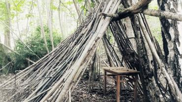 462491100 1109110011217574 5612707509997705764 N