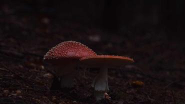 463866601 1120771583384750 1307370060875824103 N