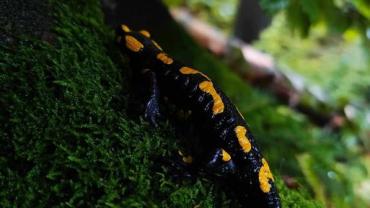 463927379 1120770983384810 8830202741793735885 N