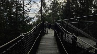 464099738 1121616779966897 6872266735918804673 N