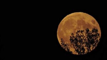 467949270 1146393164155925 7222016295473981661 N