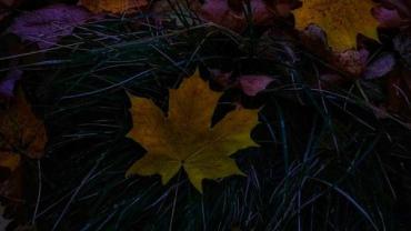 468178764 1149716140490294 6594656897491295405 N