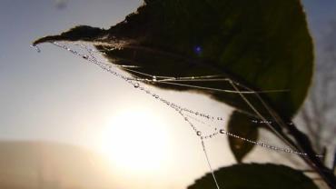 470145073 1166238625504712 4675118916814407554 N