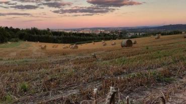 457357341 1077626771032565 1658559865437084015 N