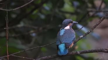 459178851 1087145546747354 3017055291634659150 N