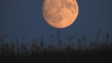 459250674 1087145506747358 4200582590538436479 N