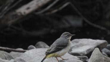 459402546 1087145613414014 3657206557832092782 N