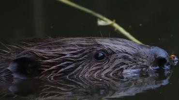 459405969 1087145656747343 4799406825810685965 N