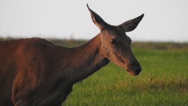 459559678 1087145356747373 1198482184702560412 N