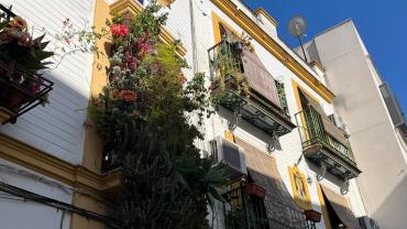 459525432 1090006566461252 2821346000630622036 N