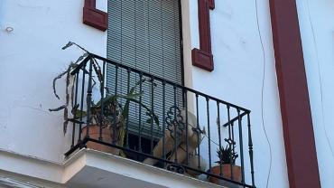 459640722 1090006509794591 6455411251748623492 N