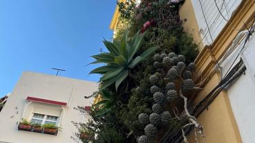 459656062 1090006759794566 2757858163525722351 N