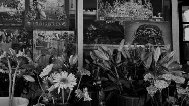 459735626 1090006793127896 4084463706858156304 N