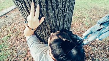 460315039 1093745639420678 1662308123607229684 N