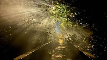 460169305 1089996093128966 3361873892484570132 N