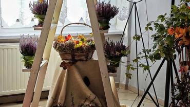 462620385 1112764534185455 446248658579295925 N