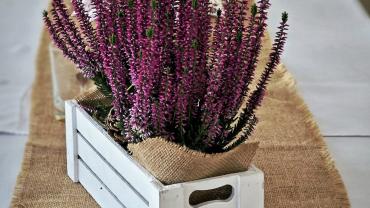 462700330 1112765734185335 7360115870588488644 N