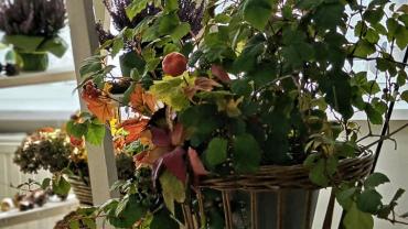 462776138 1112764670852108 1058749107449532253 N