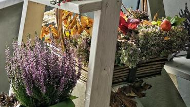 462776454 1112764584185450 6448124078977039962 N