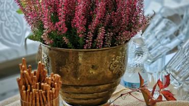 463010121 1112766650851910 6751236694469679843 N