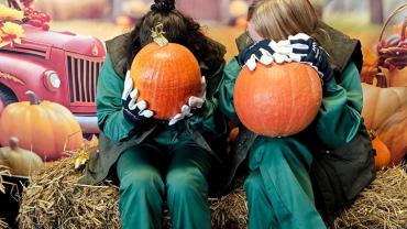 463596417 1118574180271157 7689857302884635479 N