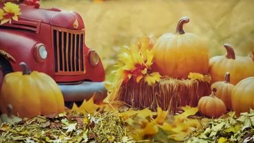 463861423 1118574906937751 5415940682018165492 N