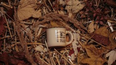 464388996 1124695426325699 4511899762202733120 N