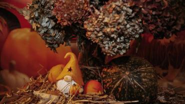 464418561 1124695736325668 1776732712818367659 N