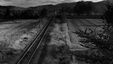 464975600 1129290019199573 1488000510026874475 N