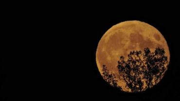 469793589 1161379495990625 1383565445856226887 N