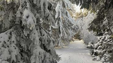 472572906 1187775786684329 5230980980095229337 N