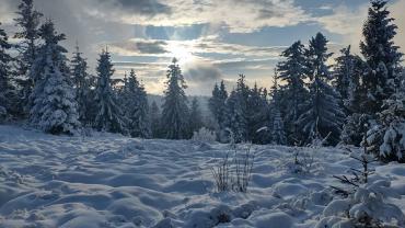 472666045 1187776620017579 4570477199364851585 N