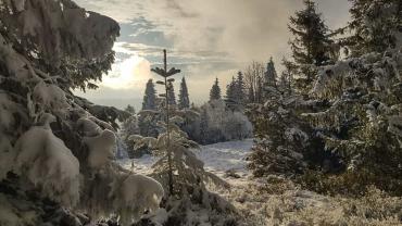 472789211 1187776076684300 624109941942331432 N