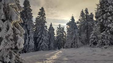 472817075 1187775913350983 3067224410979477142 N