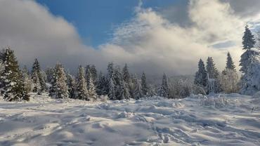 472921699 1187776403350934 5199849067559976097 N