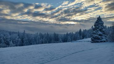 472977232 1187775826684325 6036494130052634712 N