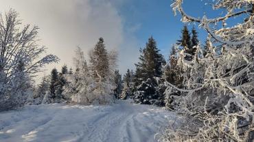 473148318 1187775693351005 7547549369187230944 N