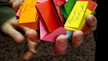 480005765 1218005273661380 3039312223431614553 N