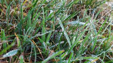 73513493 2553793994669408 3141206584848285696 N