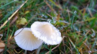 73528723 523351118214677 5110398813177118720 N