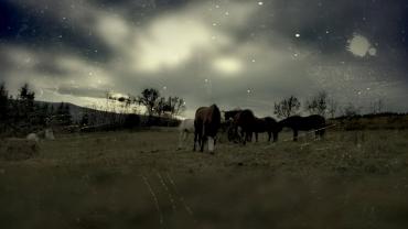 75412229 2514033165530971 6080580952671649792 N