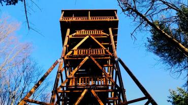 78498430 742180586261477 1136294101361098752 N