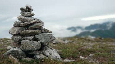 72549151 993497541030912 4558849107413696512 N